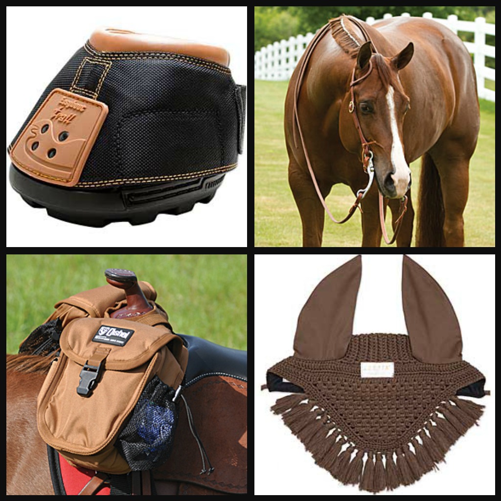 Monday Morning Feed from SmartPak HORSE NATION