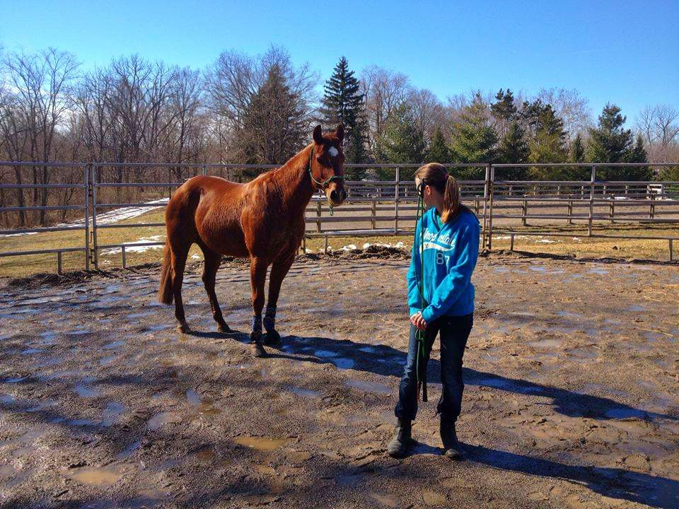 Stillwater Stables A Safe Haven for Troubled and Atrisk Youth HORSE