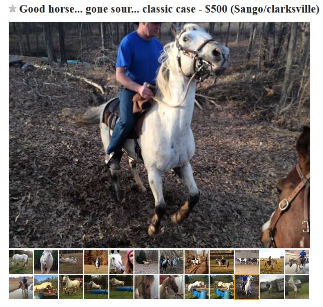 Best of Craigslist ‘Ah! No’ Edition HORSE NATION