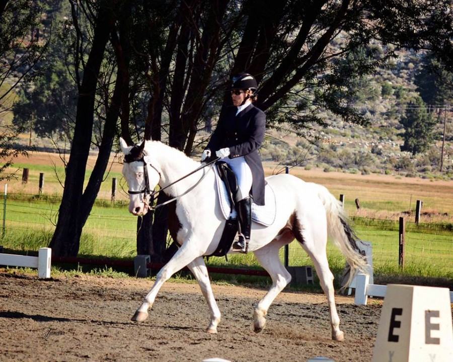 5 NonTraditional Breed Horses Who Are Rocking It at Upper Level