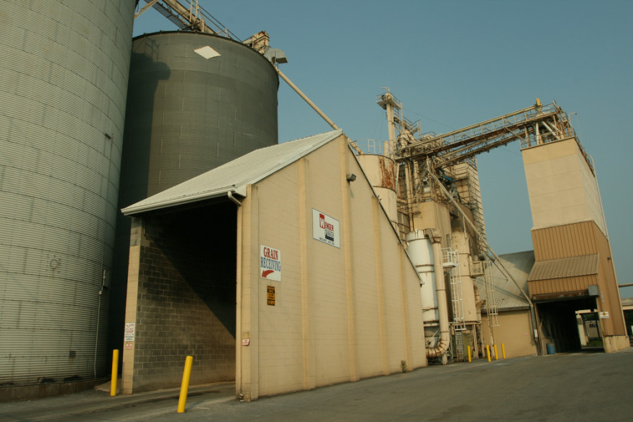 Latest Monensin Poisoning Devastates CA Horse Farm HORSE NATION