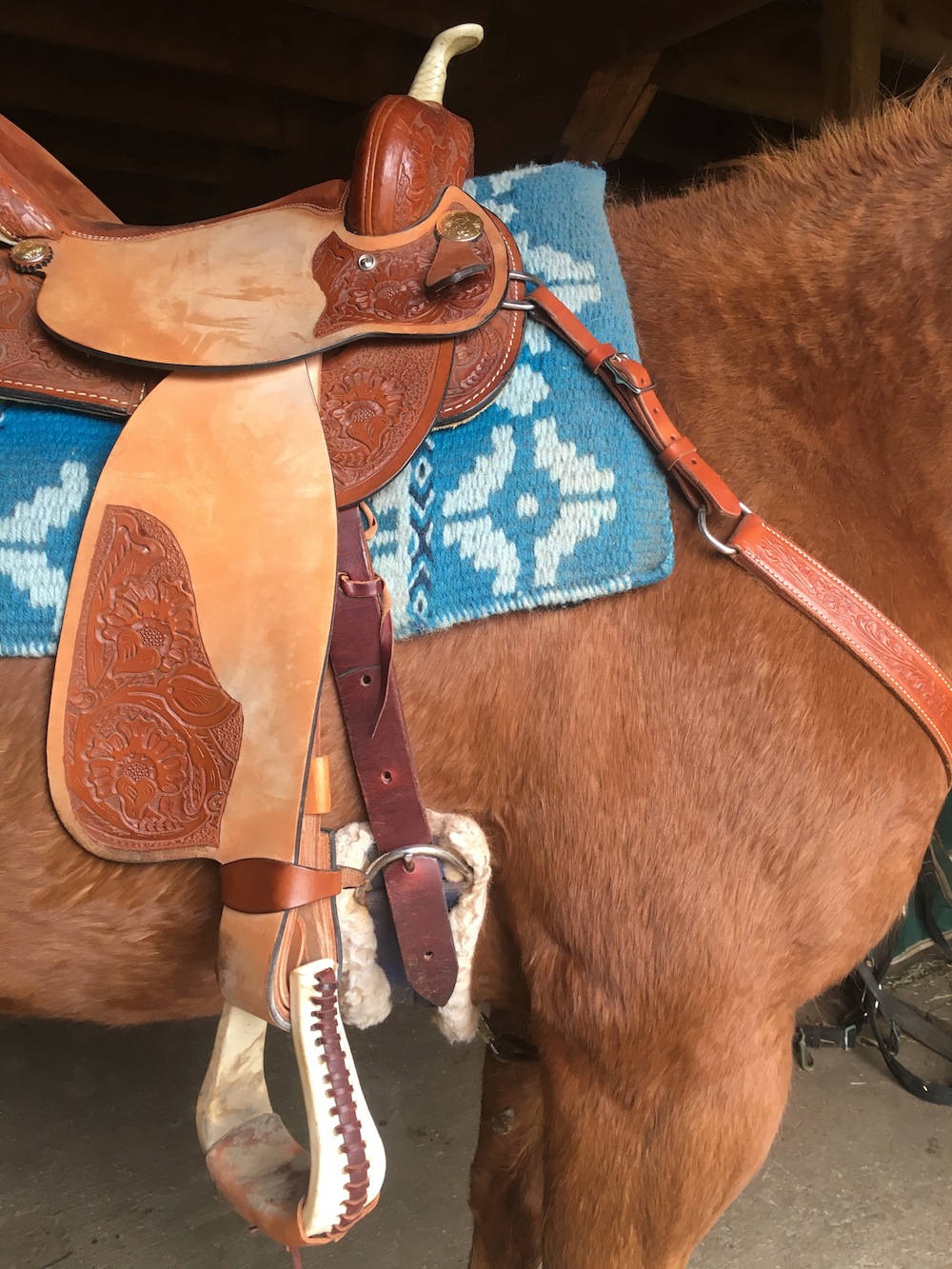 Product Review The Total Saddle Fit Shoulder Relief Cinch HORSE NATION