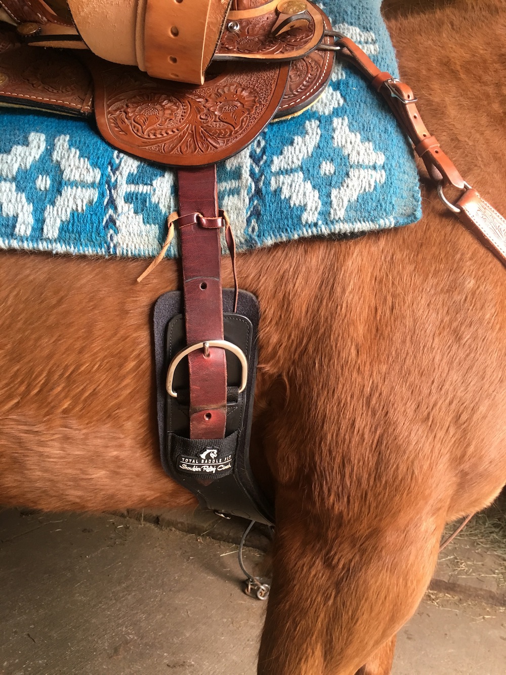 Product Review The Total Saddle Fit Shoulder Relief Cinch HORSE NATION