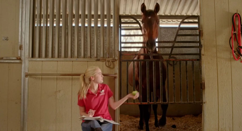 HORSE MOVIES HORSE NATION