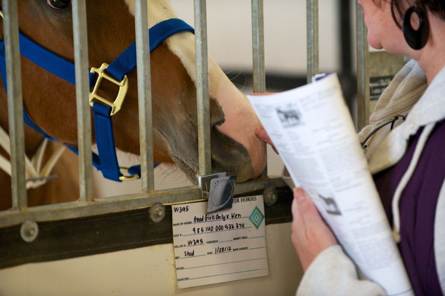 Equine Law HORSE NATION