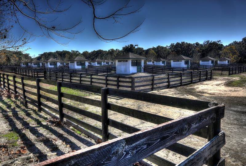 Fantasy Farm Thursday 17.9 Million Padua Stables in Ocala, Florida