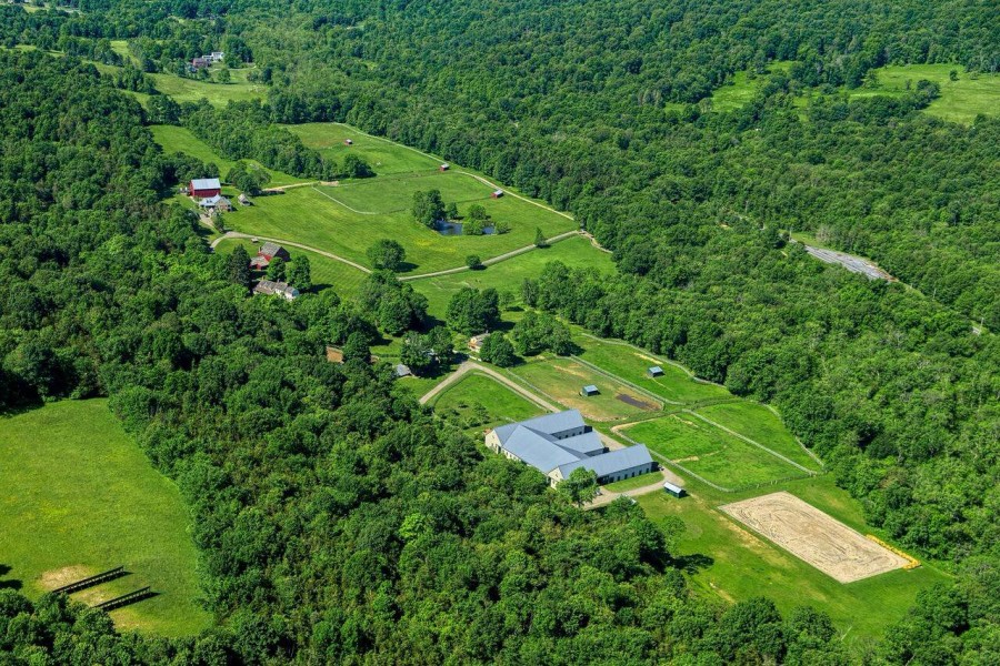 Fantasy Farm Thursday 23.5 Million Sugar Maple Farm HORSE NATION