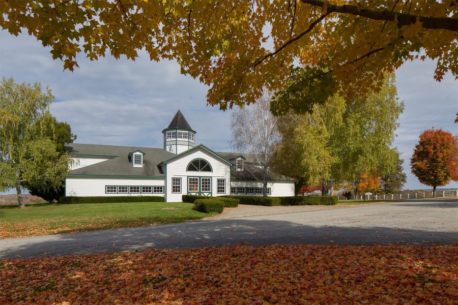 Fantasy Farm Thursday 23.5 Million Sugar Maple Farm HORSE NATION