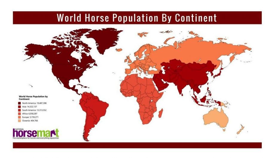 Info Graph Global Horse Populations HORSE NATION