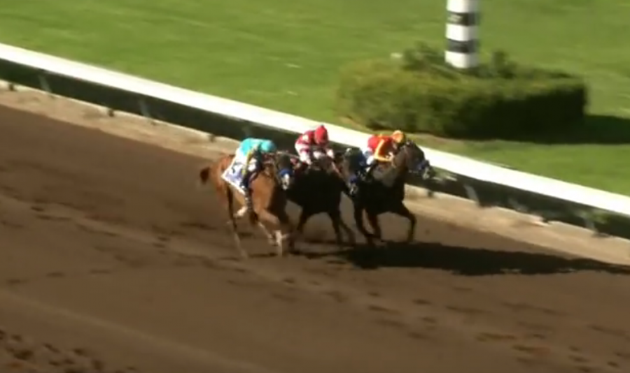 HORSE RACING HORSE NATION