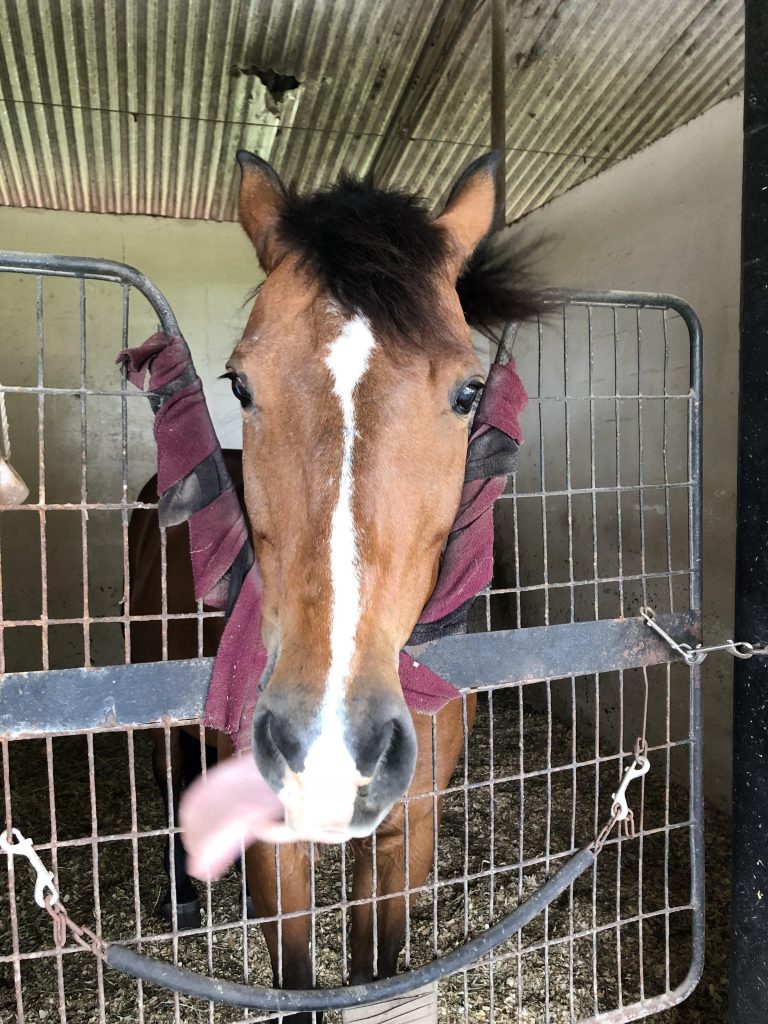 Best aeon articles image