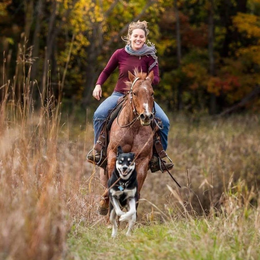 Photo Challenge 27 Loyal Barn Dogs HORSE NATION