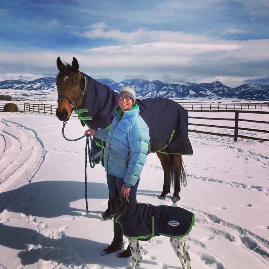 Photo Challenge 6 MatchyMatchy WellDressed Horses & Dogs HORSE NATION