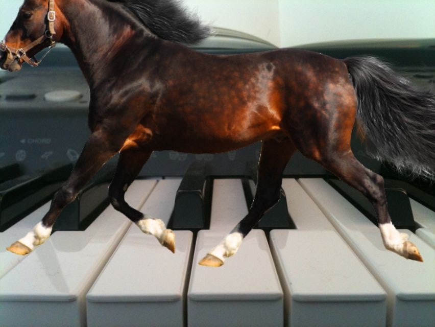 BOOM!! (That was my head exploding) HORSE NATION