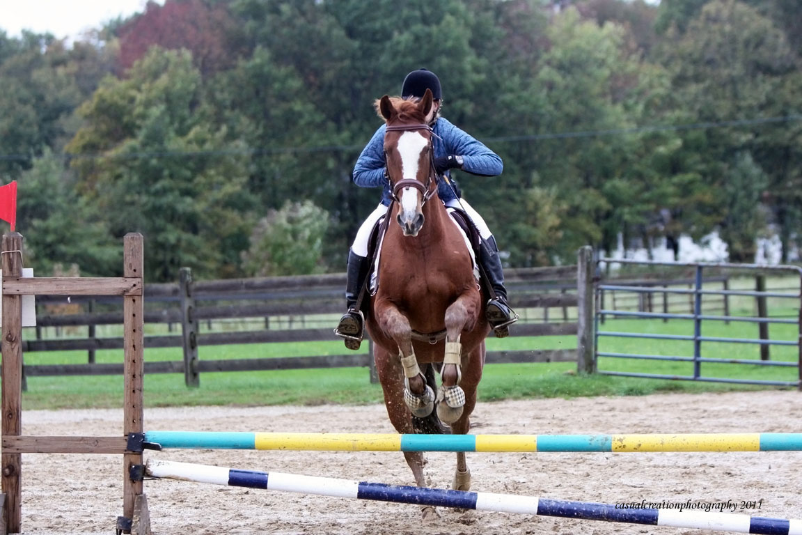 EPM A success story HORSE NATION