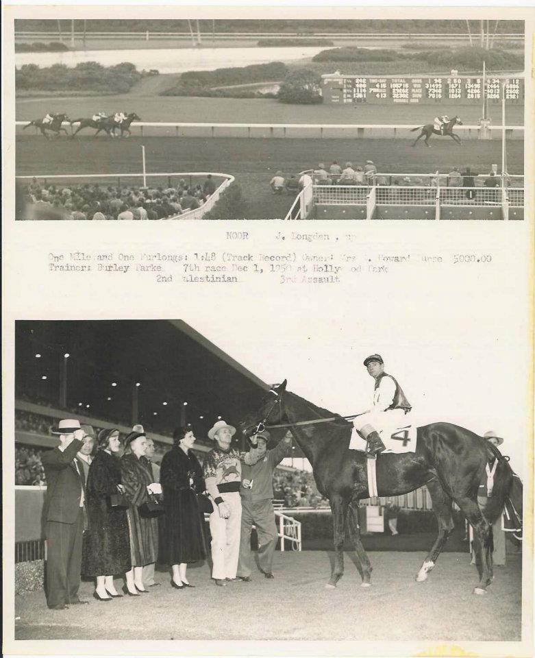 Horses in History: Noor's Last Victory Lap | HORSE NATION