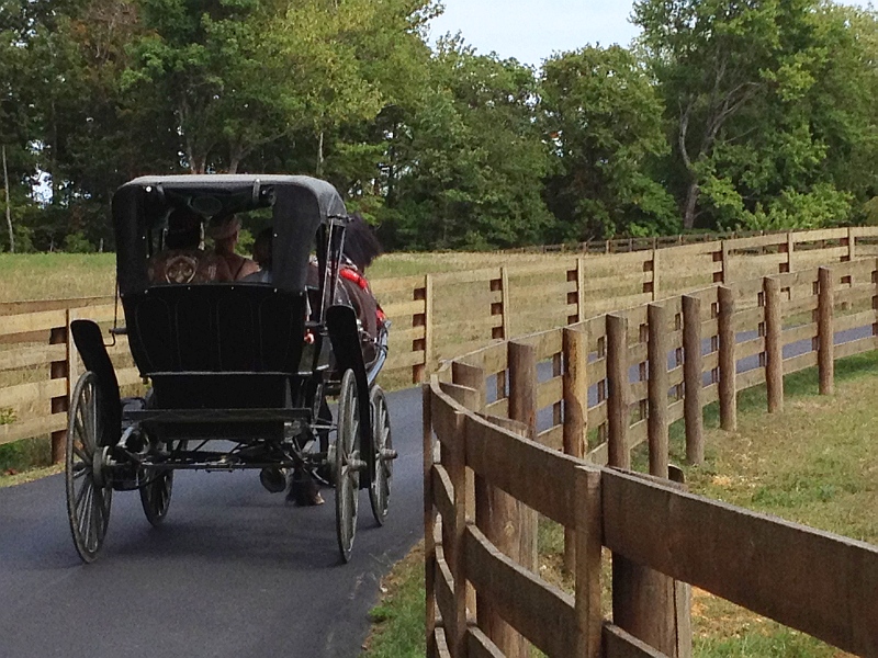 Your Turn Putting the horse before the cart HORSE NATION