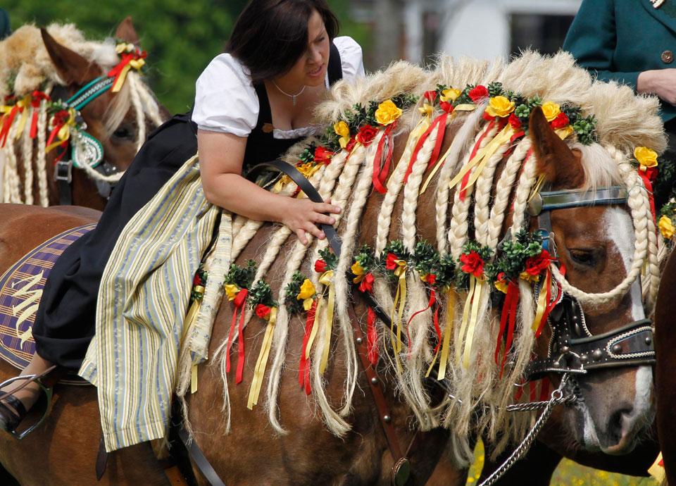 14 Braiding & Banding Jobs That Will Blow Your Mind HORSE NATION
