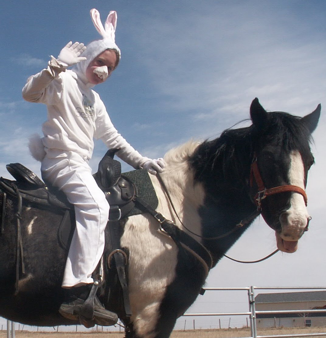 Horses Wearing Bunny Ears + Bonus Easter Photos HORSE NATION