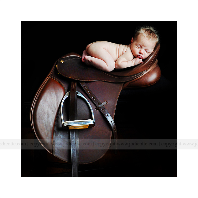 23 Newborn Babies On Saddles HORSE NATION