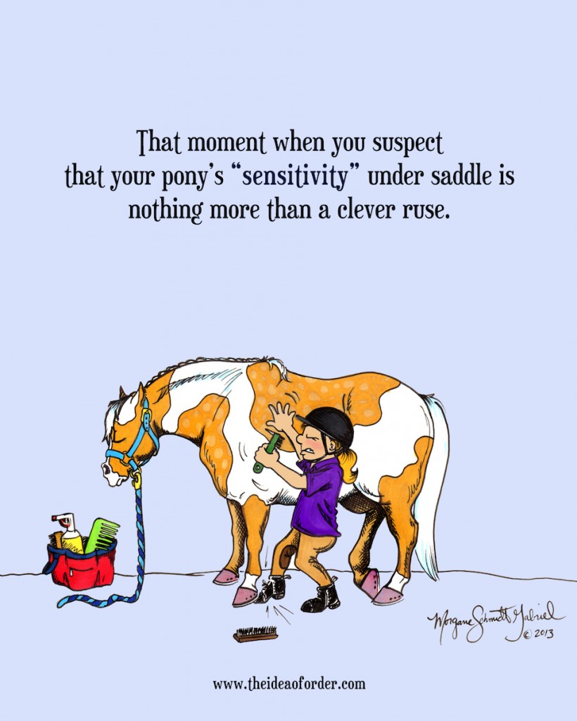 The Idea of Order A clever ruse HORSE NATION