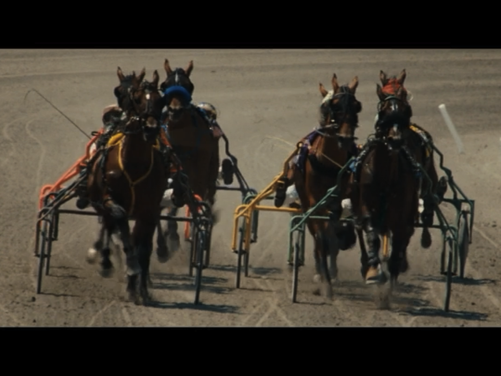Friday Flicks: 'Amazing Racer' | HORSE NATION, image size:1024x768