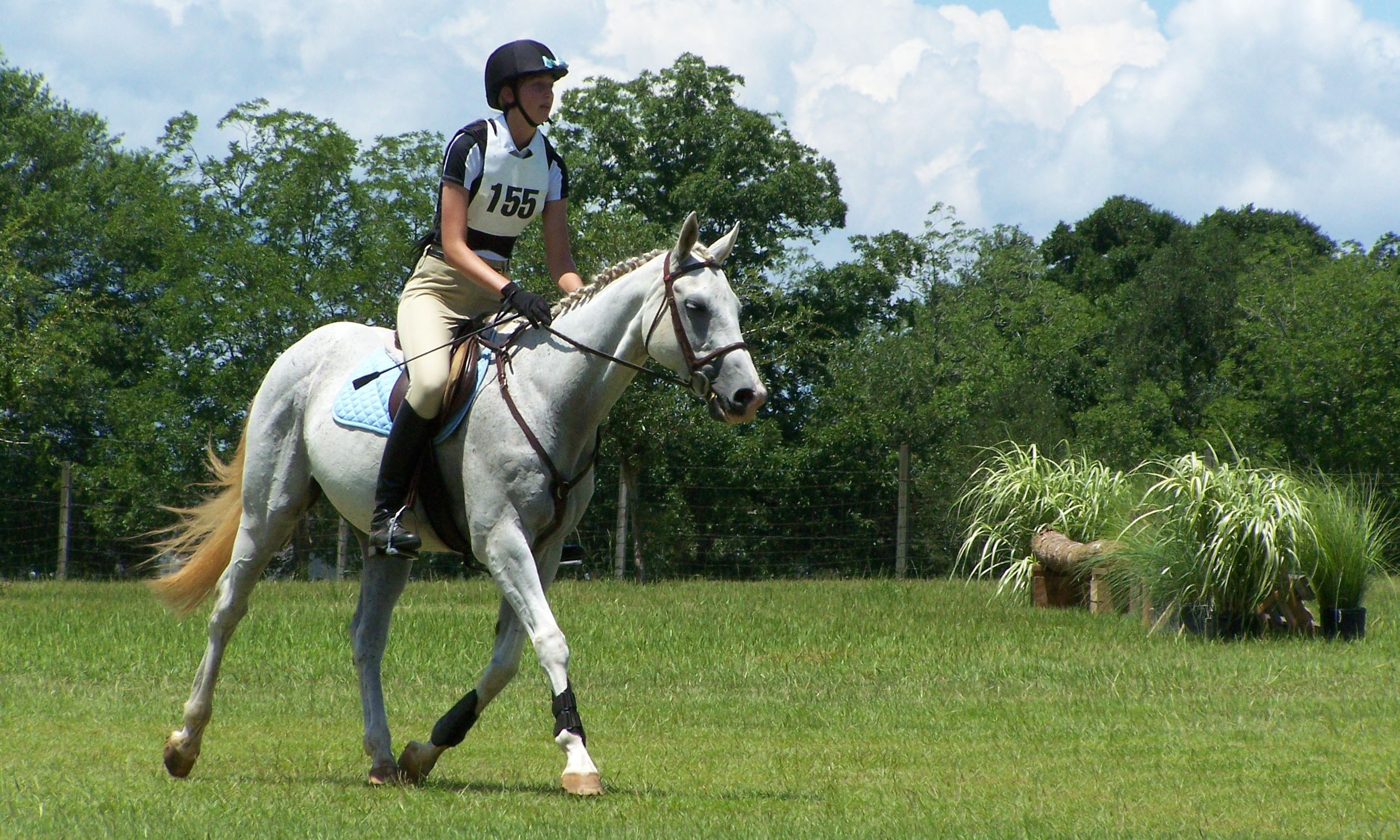 NickerDoodles Derby Hat Contest First prize! HORSE NATION
