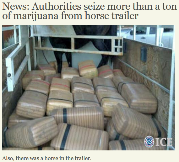 Horses & (Medical) Marijuana HORSE NATION