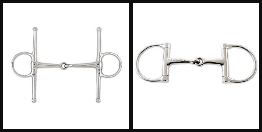 How to Find the Perfect Jumping Bit HORSE NATION