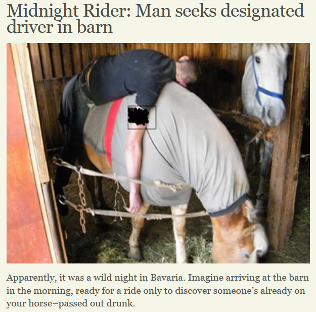 Best of Craigslist ‘7 yr old Gray Mare Horse 1500 (mckinleyville