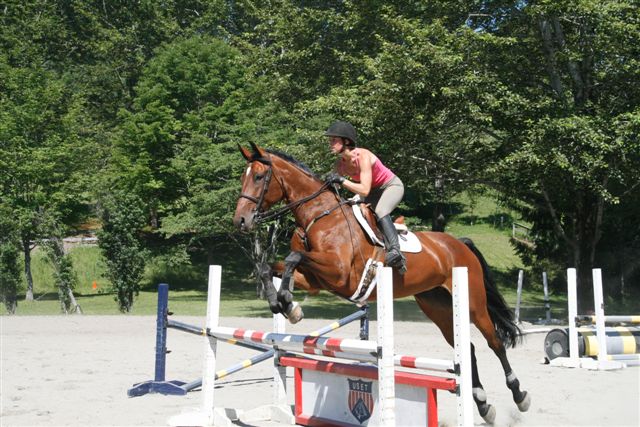 How to Find the Perfect Jumping Bit | HORSE NATION