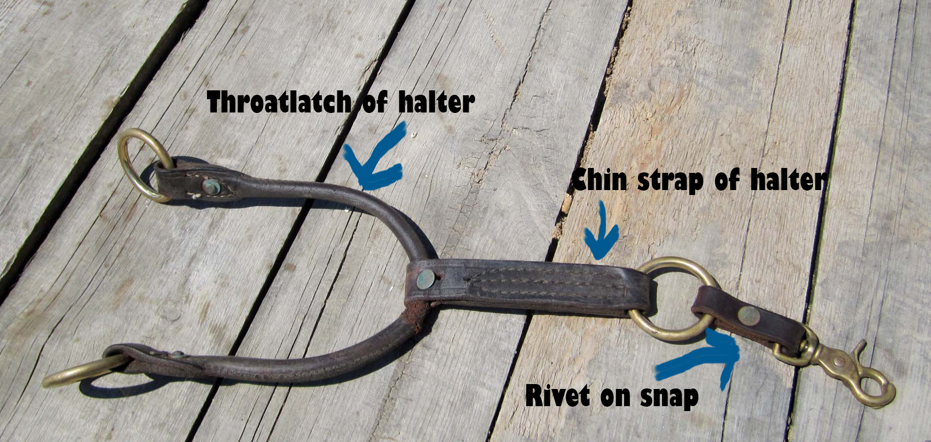 The Cowboy Laboratory It ain’t fancy, but it works! HORSE NATION