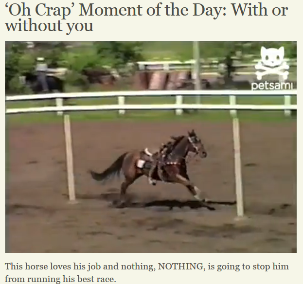 Video It’s hard to tack up a horse when the horse keeps taking its