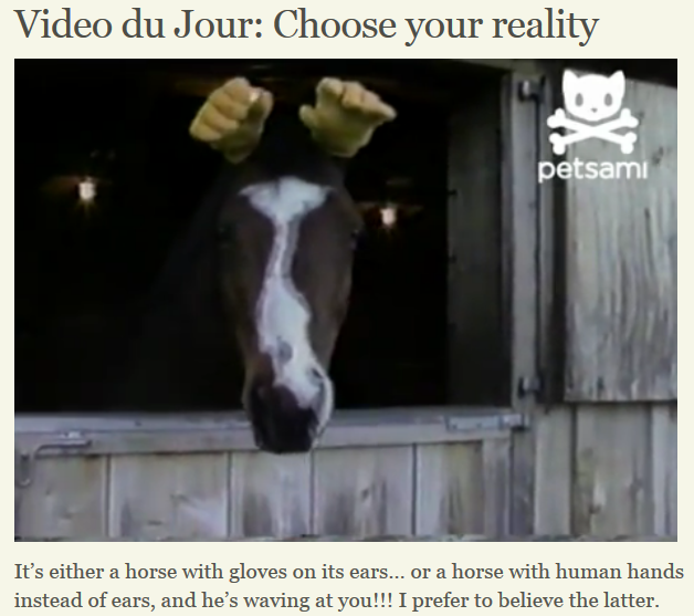 Video It’s hard to tack up a horse when the horse keeps taking its