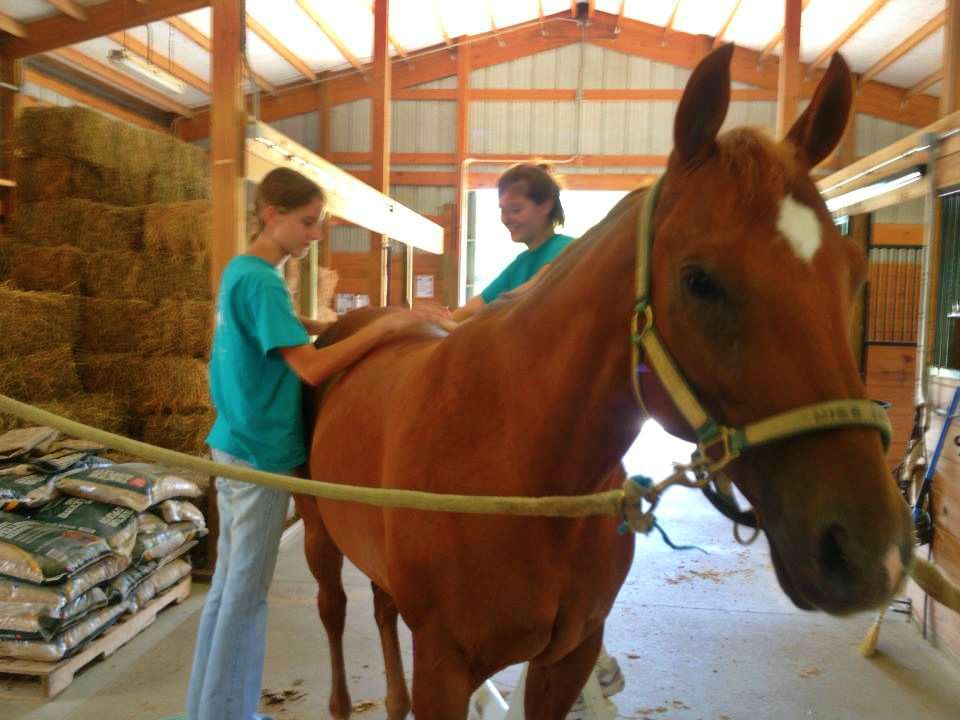 Stillwater Stables A Safe Haven for Troubled and Atrisk Youth HORSE