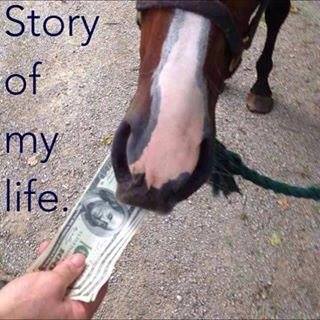 5 Things You Could Do With the Money You Spend on Horses