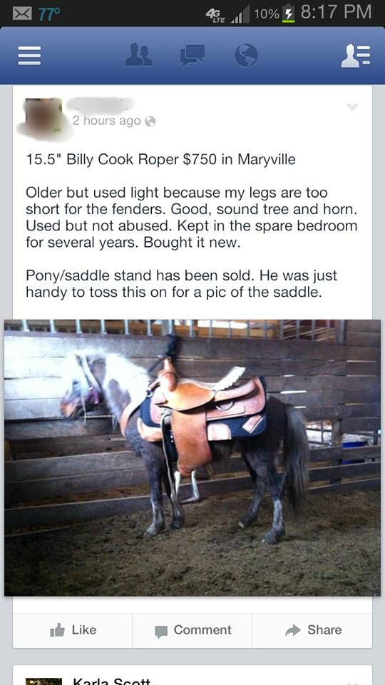 Best of Craigslist Big Saddle, Lil’ Pony HORSE NATION