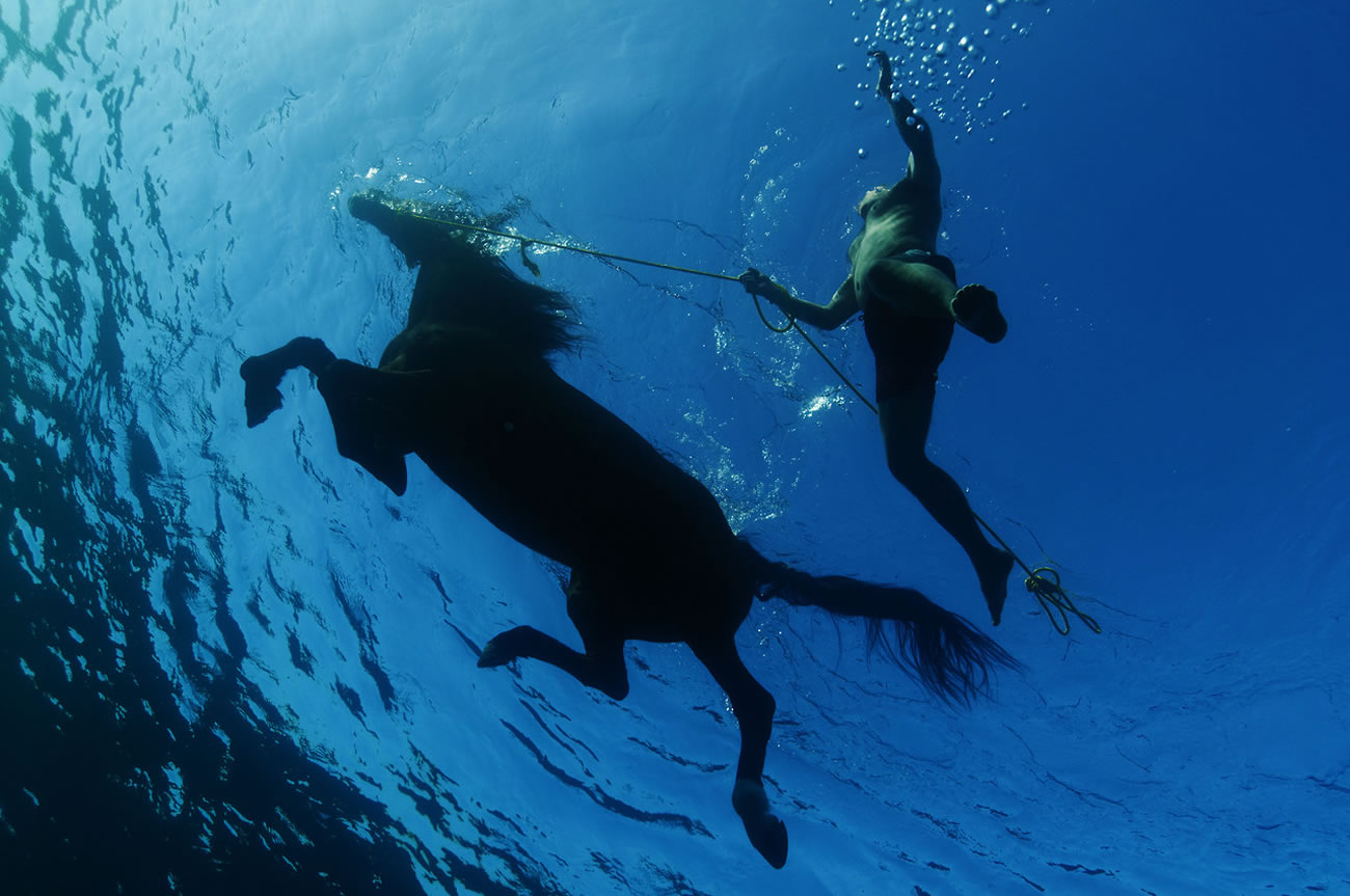 Weekly Watering Hole, Presented by Horse Quencher 6 Underwater Horse