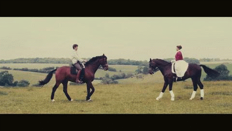 The Secret Mating Rituals of Dressage Riders | HORSE NATION