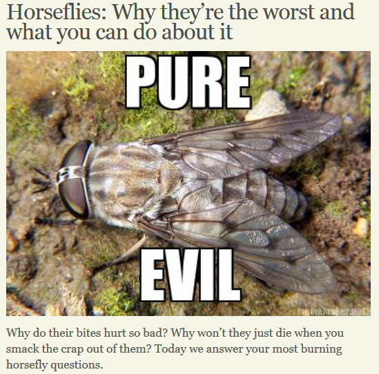 What The Muck Is That? HORSE NATION