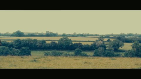 The Secret Mating Rituals of Dressage Riders | HORSE NATION