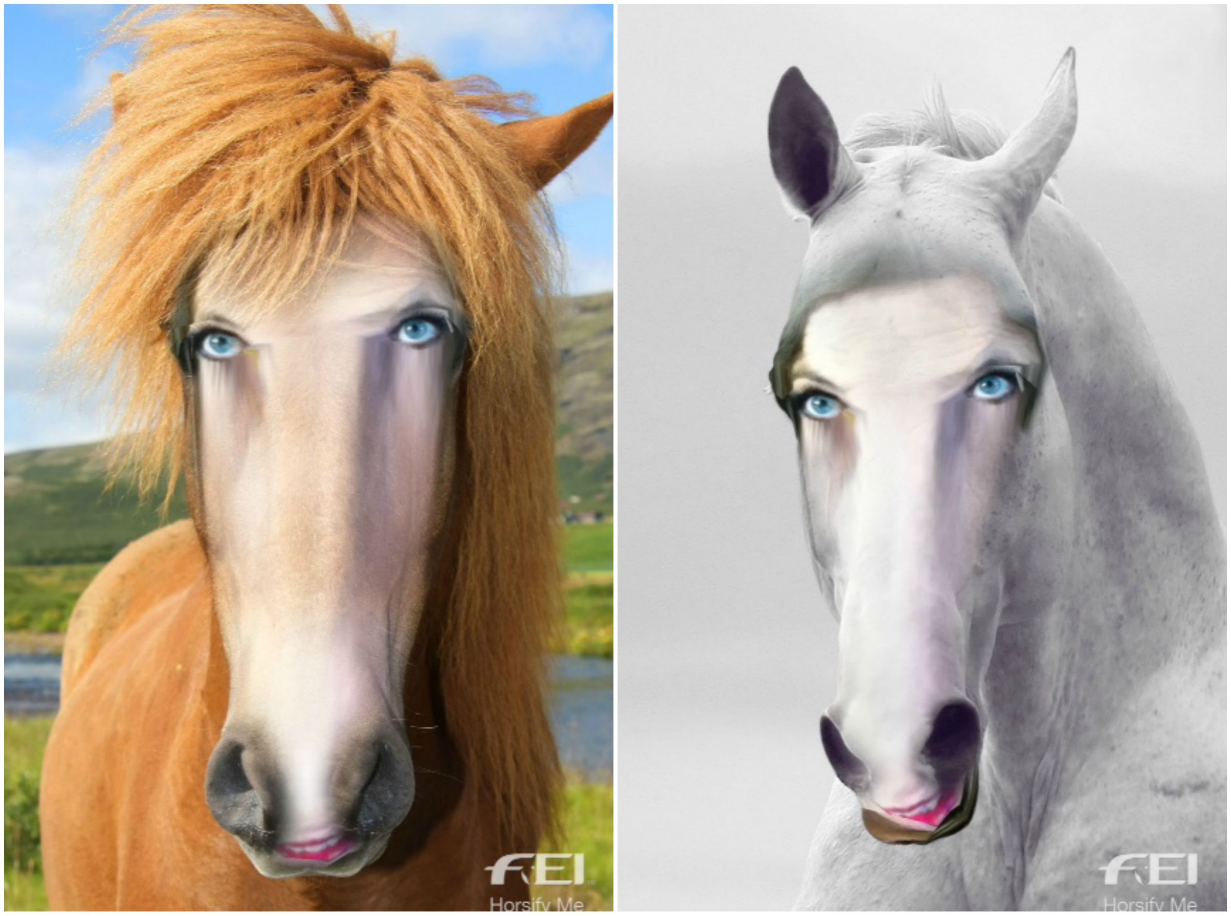 People With Horse Like Faces People With Horse Like Faces