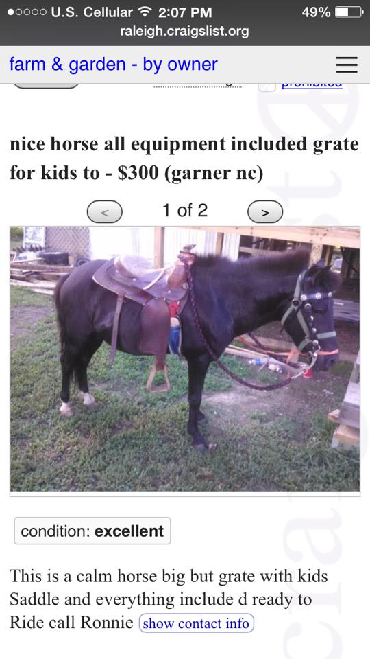 An HN ‘Best of Craigslist’ Success Story HORSE NATION