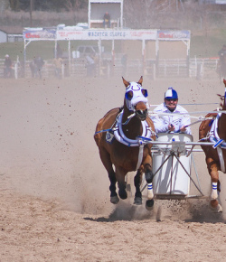 The World’s Oldest Horse Sport Lives On in the Rockies