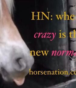 Weekly Instagram Round-Up