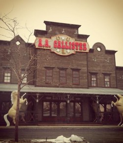 10 Things I Learned as a Tack Store Employee