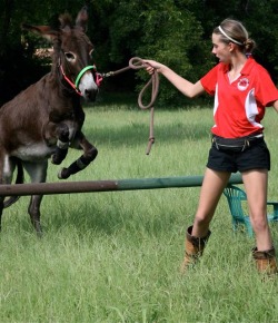Eventing On the Ground: Meet Ryan and KitKat