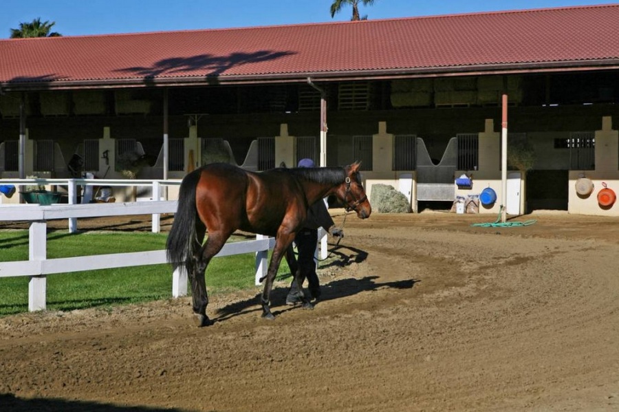 Take a Tour of Bill Gates’ New 18 Million California Equestrian