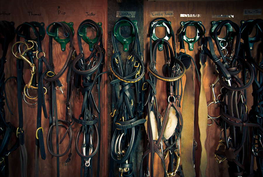 6 Ways to Prevent Tack Theft HORSE NATION