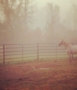 Weekly Instagram Round-Up